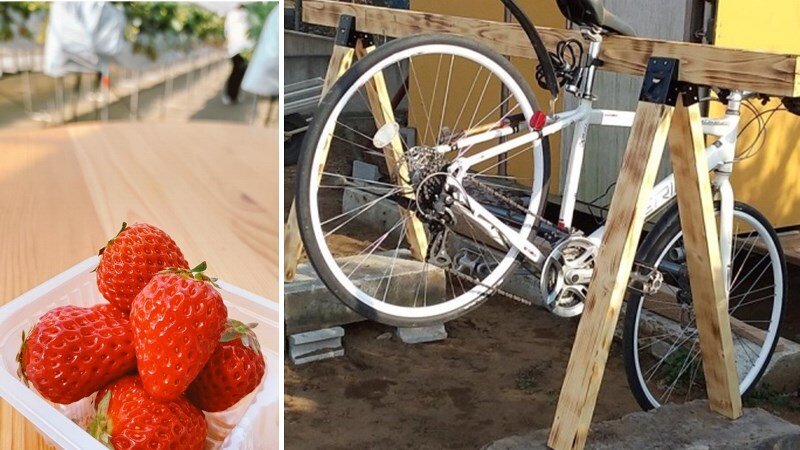 あまりん あまりん』埼玉県産いちご 約150g×4パック 産地箱 風袋込 ※冷蔵｜美味